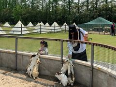 -前小桔亲子创意农场·草莓采摘·露营烧烤