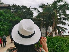 -海南分界洲岛旅游区