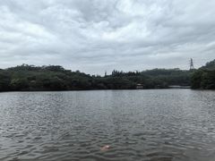 -深圳仙湖植物园
