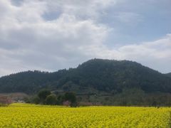 -径山花海