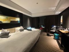 -常州环球恐龙城维景国际大酒店