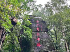-汤旺河林海奇石景区