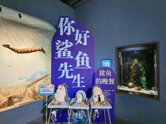 -重庆欢乐海底世界