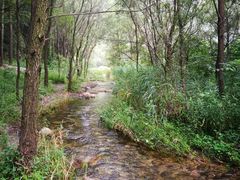 -碓臼峪自然风景区