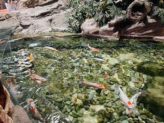 -北京海洋馆