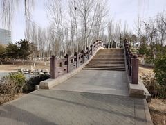 -大兴滨河森林公园