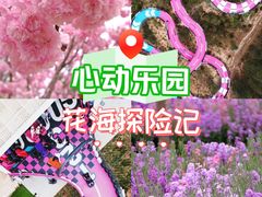 -盈香心动乐园
