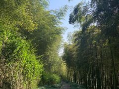 -良渚古城遗址公园