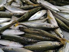 -恒达综合农贸市场(黄山路店)