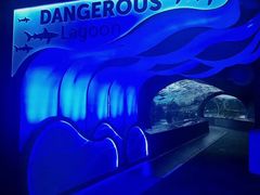 -瑞普利水族馆