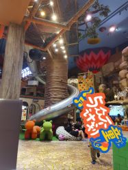 -卡通尼·Safari非洲探索乐园·生日会(金桥国际商业广场店)