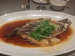 -香樟花园新粤料理(无锡万象城店)