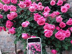 -瑜上·山食小馆