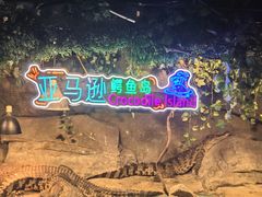 -重庆欢乐海底世界