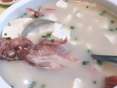 虎头鱼豆腐汤-高佳庄·舟山海鲜(海景旗舰店)