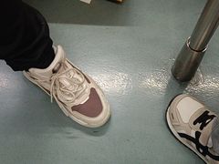 -大望路(地铁站)