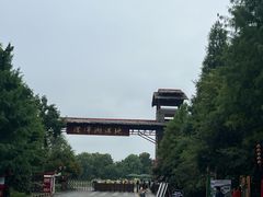 -泗洪洪泽湖湿地景区