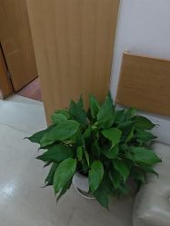 -重庆星宸整形美容医院