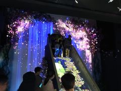 -大塘金香草谷