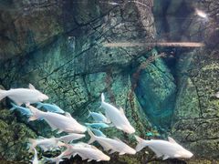 -波塞冬海底世界