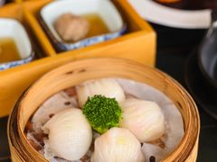 -南海渔村(珠江新城店)