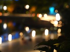 -映月湖中央公园