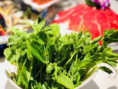 -大龙燚火锅(春熙店)