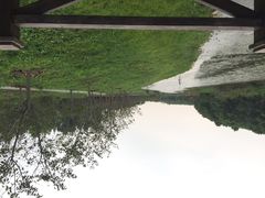 海湾国家森林公园(兆强文化海湾店)-上海海湾国家森林公园