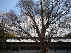 -苏州文庙(姑苏区)
