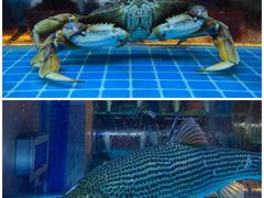-樽宴酒楼·地道川菜·品质宴请