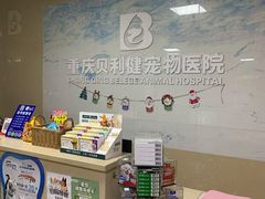 -宠颐生贝利健动物医院(谢家湾分院)