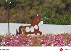 -野狸岛