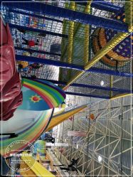 -爱丽丝奇幻乐园