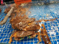 -九田家黑牛烤肉料理(石路天虹店)