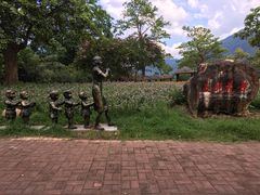 -广州市流溪河国家森林公园