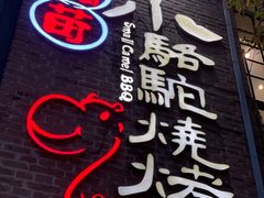 -福苗小骆驼烧烤(莲湖路店)