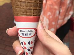 -富豪雪糕车流动点(尖沙咀店)
