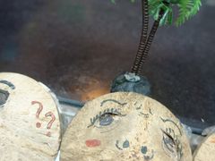 -椰爺爺·椰子冻砵仔糕