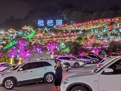 -枇杷园食为鲜火锅(南山店)