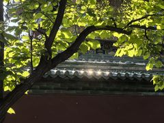 -妙峰山风景名胜区
