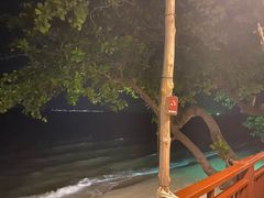 -卷心菜和避孕套餐厅(Pattaya)