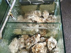 -垦丁辉哥生鱼片