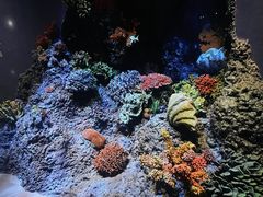 -中国湿地博物馆