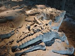 -自贡恐龙博物馆