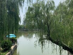 -咸阳湖景区-古渡公园