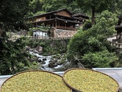 -林坑古村落