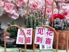 -盒马鲜生(曜一城店)
