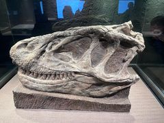 -自贡恐龙博物馆