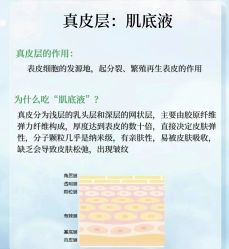 点击看大图 -玛莲朵·海菲秀冰珀科