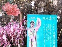 -山塘街